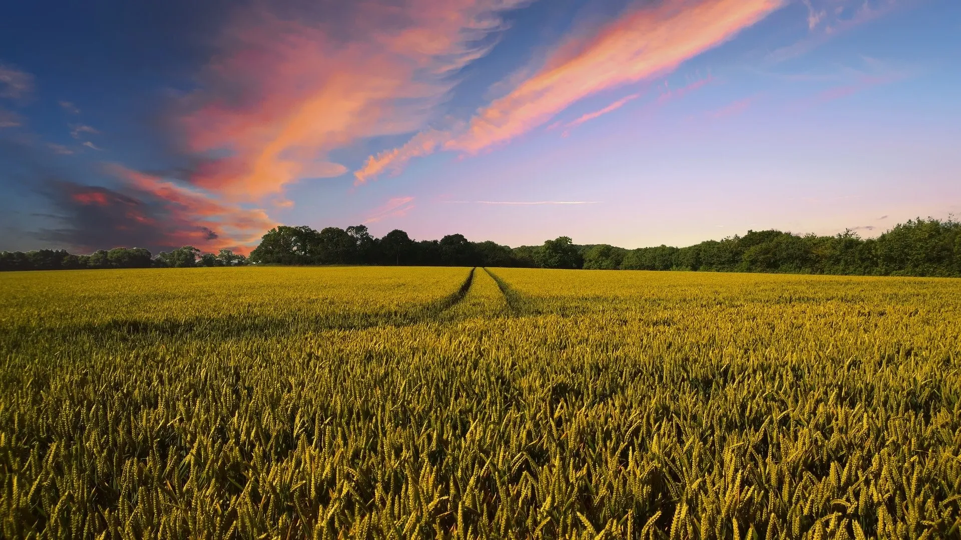 countryside-2326787_1920_c.pixabay_pete_linforth